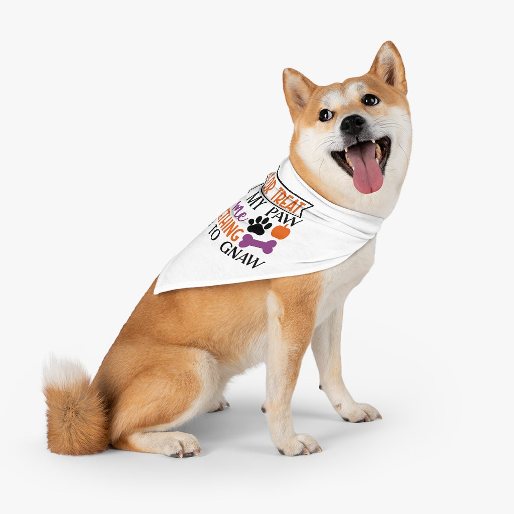 Pet Bandana