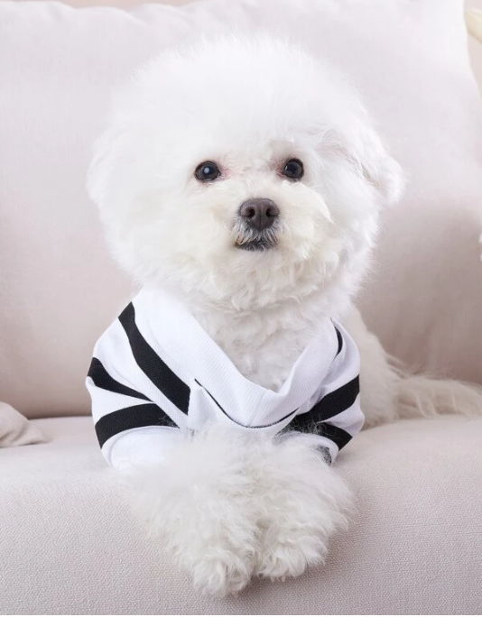 Black and White Striped Heart Tee