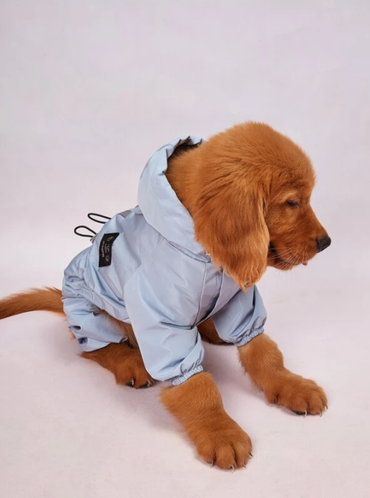 Waterproof Dog Raincoat