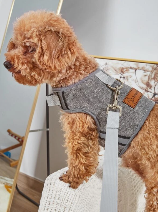 Harness