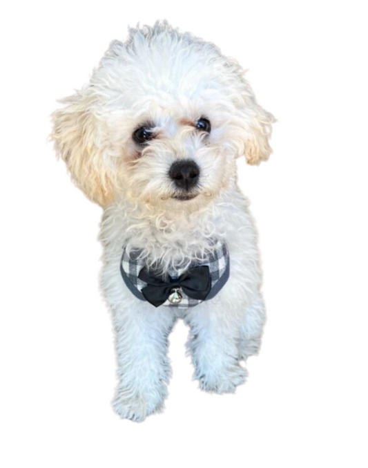 Gingham Dog Vest Harness With Leash Set