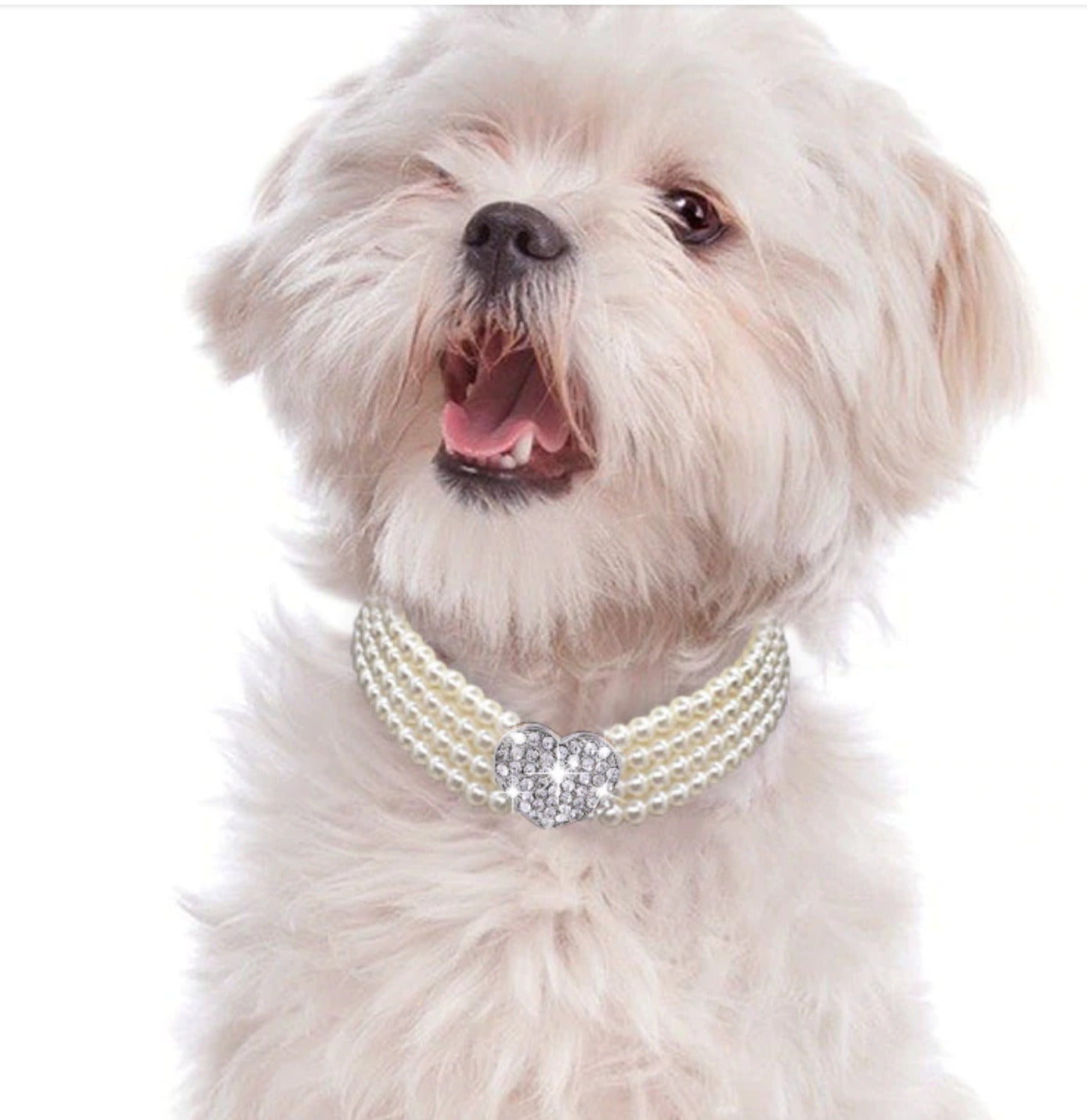 Pearl Pet Collar with Bling Heart
