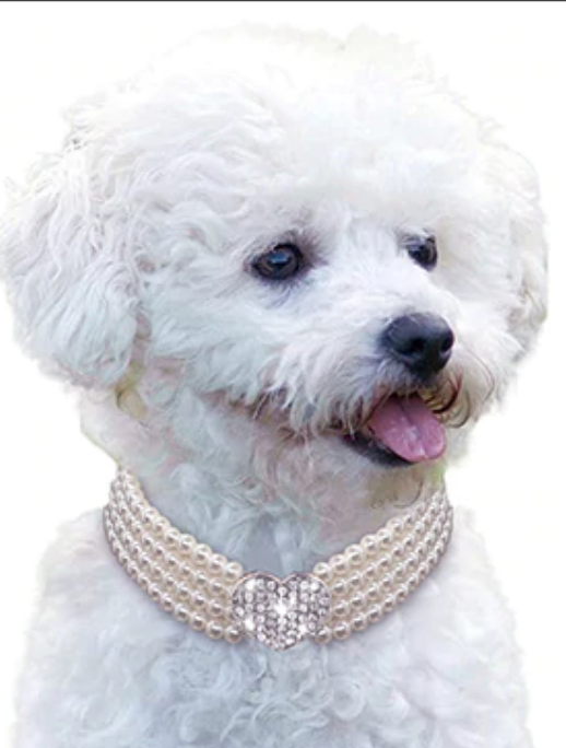 Pearl Pet Collar with Bling Heart